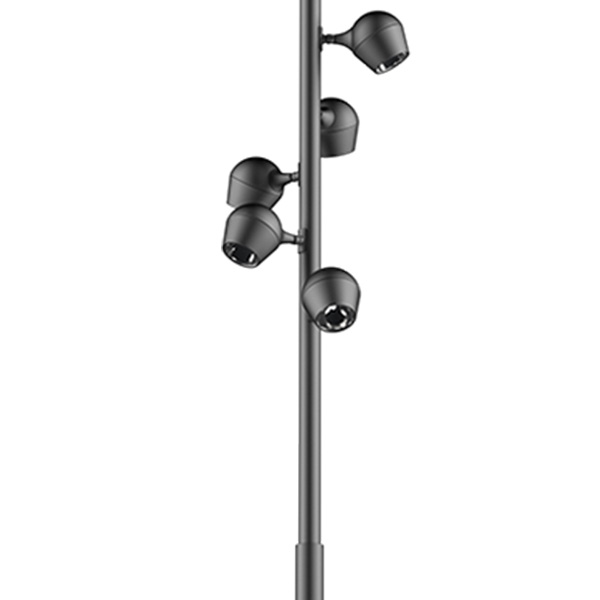 Selene Pole